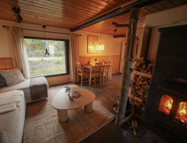 Loghouse Vika, Rovaniemi, Lapland (14)